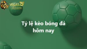 Cách đọc Soi kèo Bundesliga dễ hiểu cho người mới